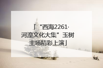 “西海2261·河湟文化大集”玉树主场精彩上演