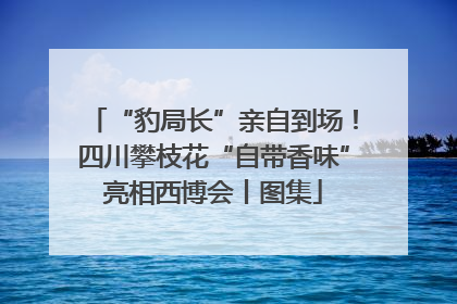 “豹局长”亲自到场！四川攀枝花“自带香味”亮相西博会丨图集
