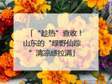 “趁热”查收！山东的“绿野仙踪”清凉感拉满
