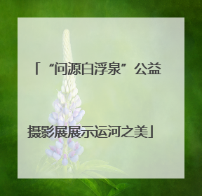 “问源白浮泉”公益摄影展展示运河之美