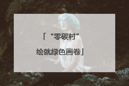 “零碳村” 绘就绿色画卷