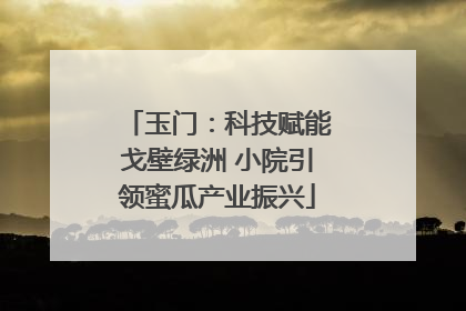 玉门：科技赋能戈壁绿洲 小院引领蜜瓜产业振兴