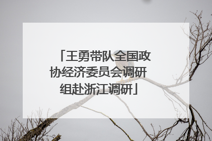 王勇带队全国政协经济委员会调研组赴浙江调研