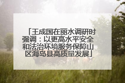 王成国在丽水调研时强调：以更高水平安全和法治环境服务保障山区海岛县高质量发展