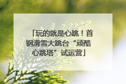 玩的就是心跳！首钢滑雪大跳台“顽酷心跳塔”试运营