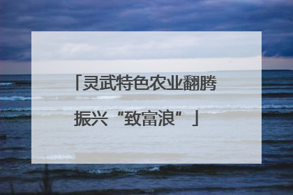 灵武特色农业翻腾振兴“致富浪”