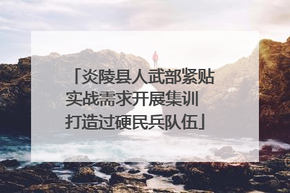 炎陵县人武部紧贴实战需求开展集训 打造过硬民兵队伍
