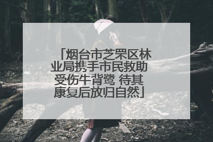 烟台市芝罘区林业局携手市民救助受伤牛背鹭 待其康复后放归自然