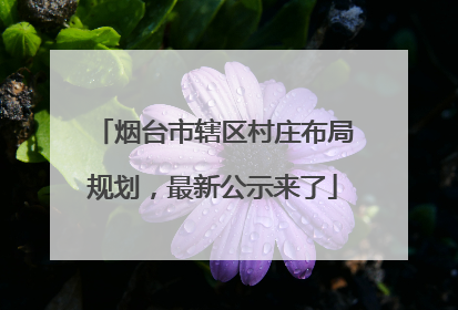 烟台市辖区村庄布局规划，最新公示来了