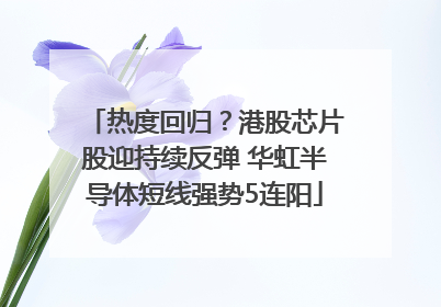热度回归？港股芯片股迎持续反弹 华虹半导体短线强势5连阳