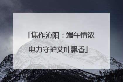 焦作沁阳：端午情浓 电力守护艾叶飘香