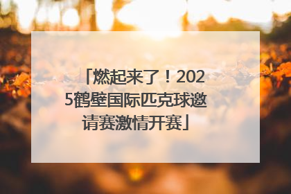 燃起来了！2025鹤壁国际匹克球邀请赛激情开赛