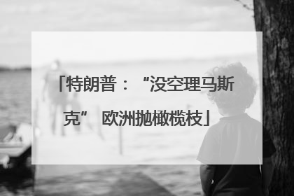特朗普：“没空理马斯克” 欧洲抛橄榄枝