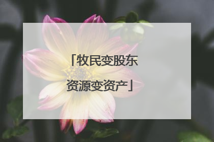 牧民变股东 资源变资产