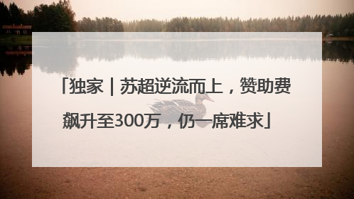 独家｜苏超逆流而上，赞助费飙升至300万，仍一席难求