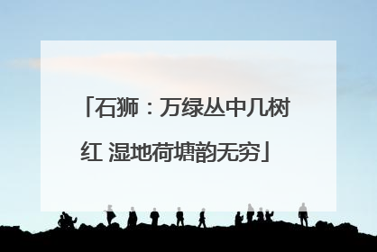 石狮：万绿丛中几树红 湿地荷塘韵无穷