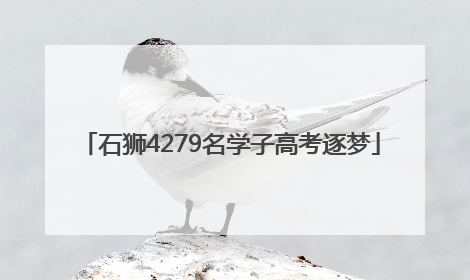 石狮4279名学子高考逐梦