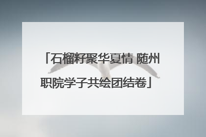 石榴籽聚华夏情 随州职院学子共绘团结卷