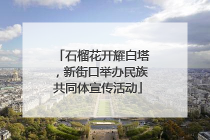 石榴花开耀白塔，新街口举办民族共同体宣传活动