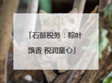 石鼓税务：粽叶飘香 税润童心