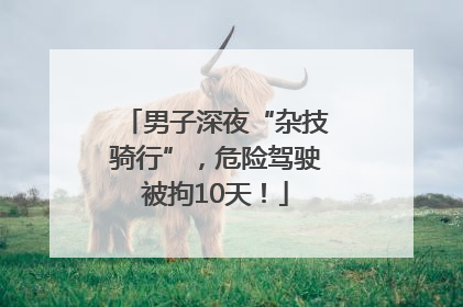 男子深夜“杂技骑行”，危险驾驶被拘10天！