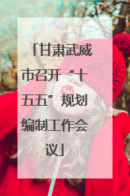 甘肃武威市召开“十五五”规划编制工作会议