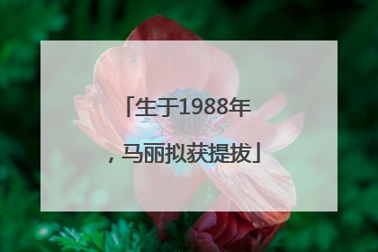 生于1988年，马丽拟获提拔