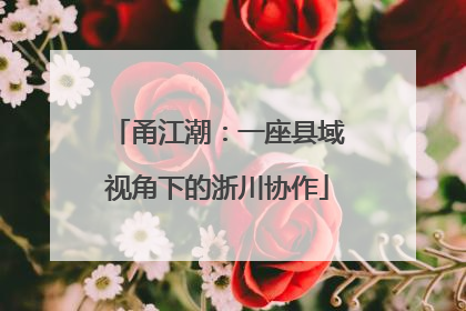 甬江潮：一座县域视角下的浙川协作