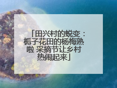 田兴村的蜕变：栀子花田的杨梅熟啦 采摘节让乡村热闹起来