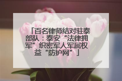 百名律师结对驻泰部队：泰安“法律拥军”织密军人军属权益“防护网”