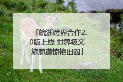 皖浙跨界合作2.0版上线 世界级文旅廊道惊艳出圈