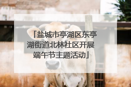 盐城市亭湖区东亭湖街道北林社区开展端午节主题活动