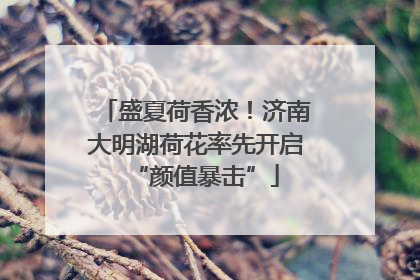 盛夏荷香浓！济南大明湖荷花率先开启“颜值暴击”