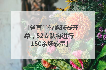 省直单位篮球赛开幕，52支队将进行150余场较量