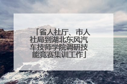 省人社厅、市人社局到湖北东风汽车技师学院调研技能竞赛集训工作