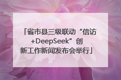 省市县三级联动“信访+DeepSeek”创新工作新闻发布会举行