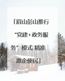眉山彭山推行“党建+政务服务”模式 精准惠企便民