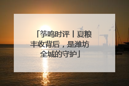 筝鸣时评丨夏粮丰收背后，是潍坊全城的守护
