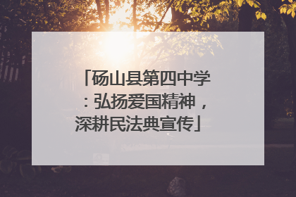 砀山县第四中学：弘扬爱国精神，深耕民法典宣传