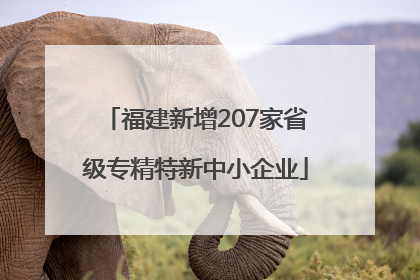 福建新增207家省级专精特新中小企业