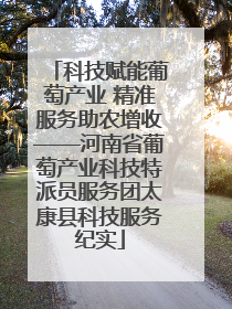 科技赋能葡萄产业 精准服务助农增收——河南省葡萄产业科技特派员服务团太康县科技服务纪实