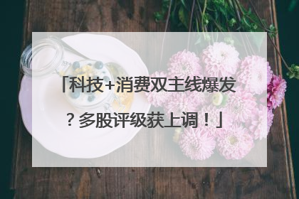 科技+消费双主线爆发？多股评级获上调！