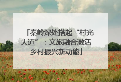 秦岭深处搭起“村光大道”：文旅融合激活乡村振兴新动能