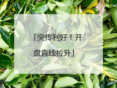 突传利好！开盘直线拉升