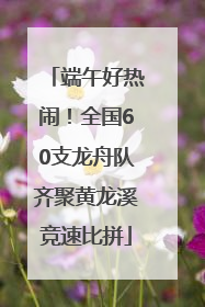 端午好热闹！全国60支龙舟队齐聚黄龙溪竞速比拼