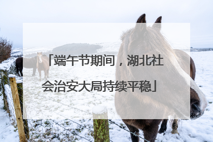 端午节期间，湖北社会治安大局持续平稳