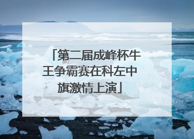 第二届成峰杯牛王争霸赛在科左中旗激情上演