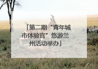第二期“青年城市体验官”悠游兰州活动举办