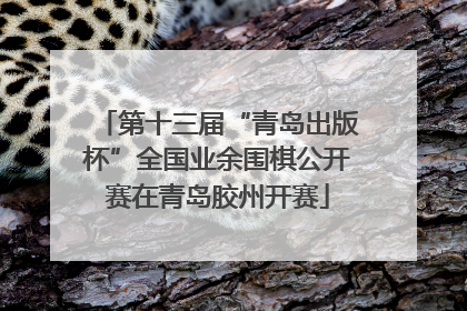 第十三届“青岛出版杯”全国业余围棋公开赛在青岛胶州开赛