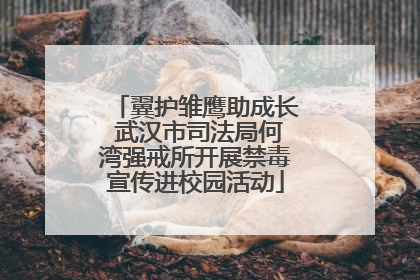 翼护雏鹰助成长 武汉市司法局何湾强戒所开展禁毒宣传进校园活动